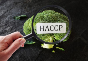 HACCP　飲食店