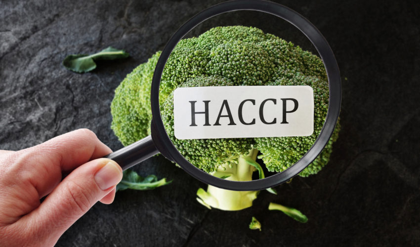 HACCP　義務化　飲食店